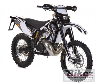2011 GAS GAS EC 125 Racing photo